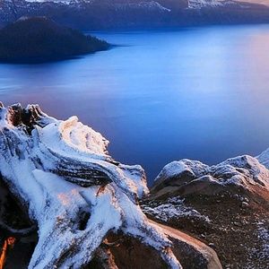 Meet your Posher, Dan